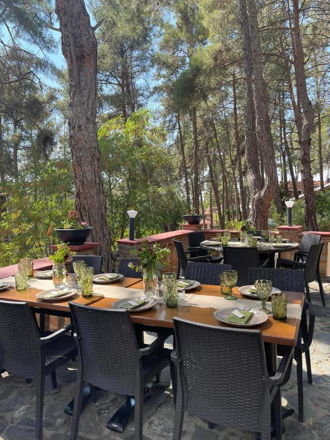 Semiramis Lodge Platres Exterior foto